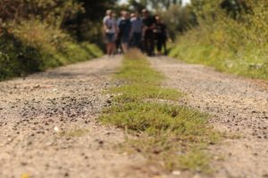 Chemin_de_randonnee_stage_de_jeune_et_rando (1)
