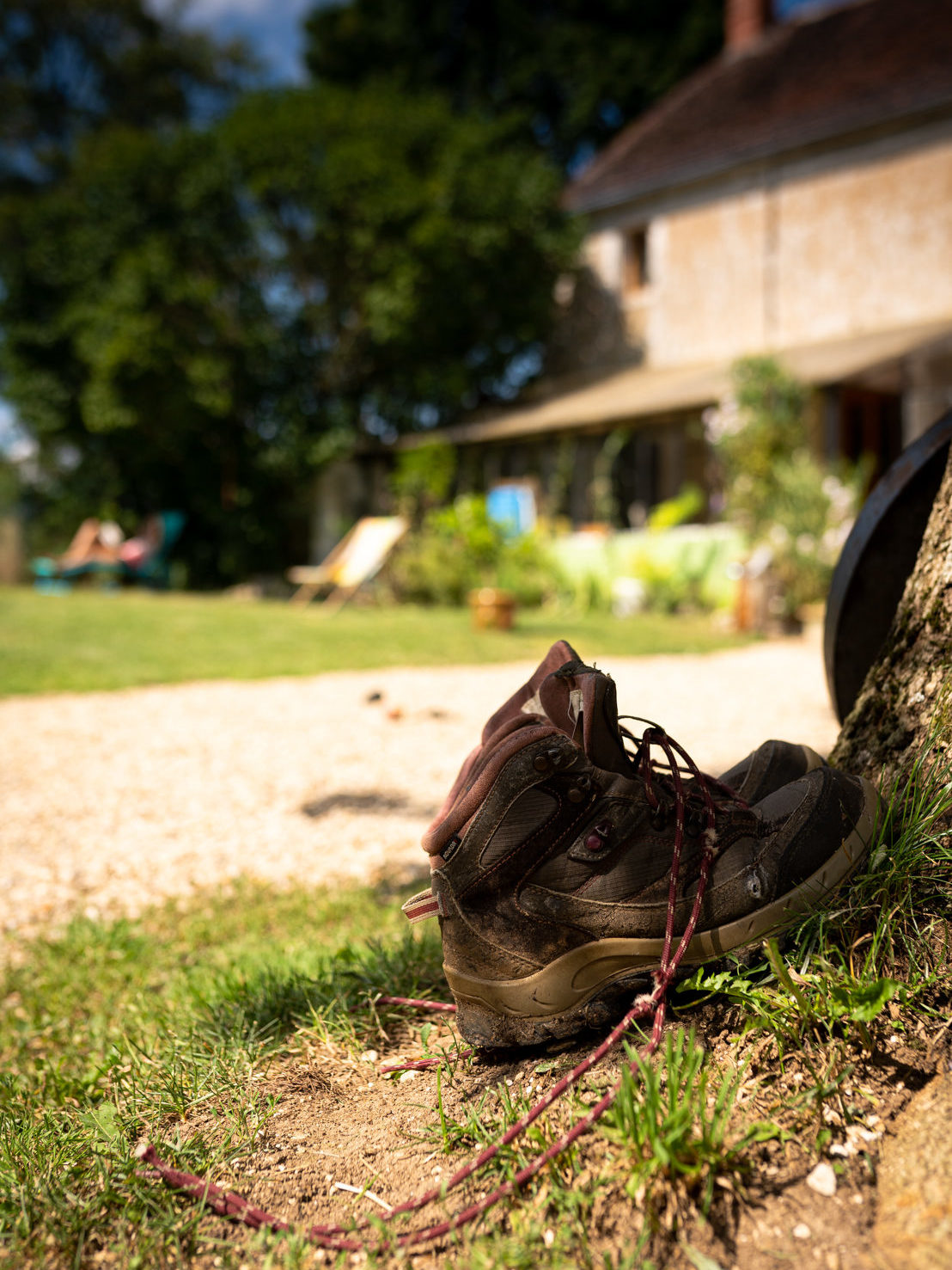 Chaussures de randonnée posé contre un arbre aux Sentiers du jeûne 